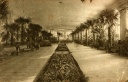Зимний сад в Нарзанной галерее. Фото начала XX в.
