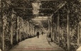 Виноградная арка (пергола) в Кисловодске. Фото 1910-х гг.